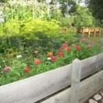 Flower Bed Builders near me West Sussex