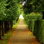 Walkway builders near me West Sussex