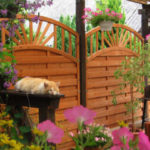 Fencing and landscaping